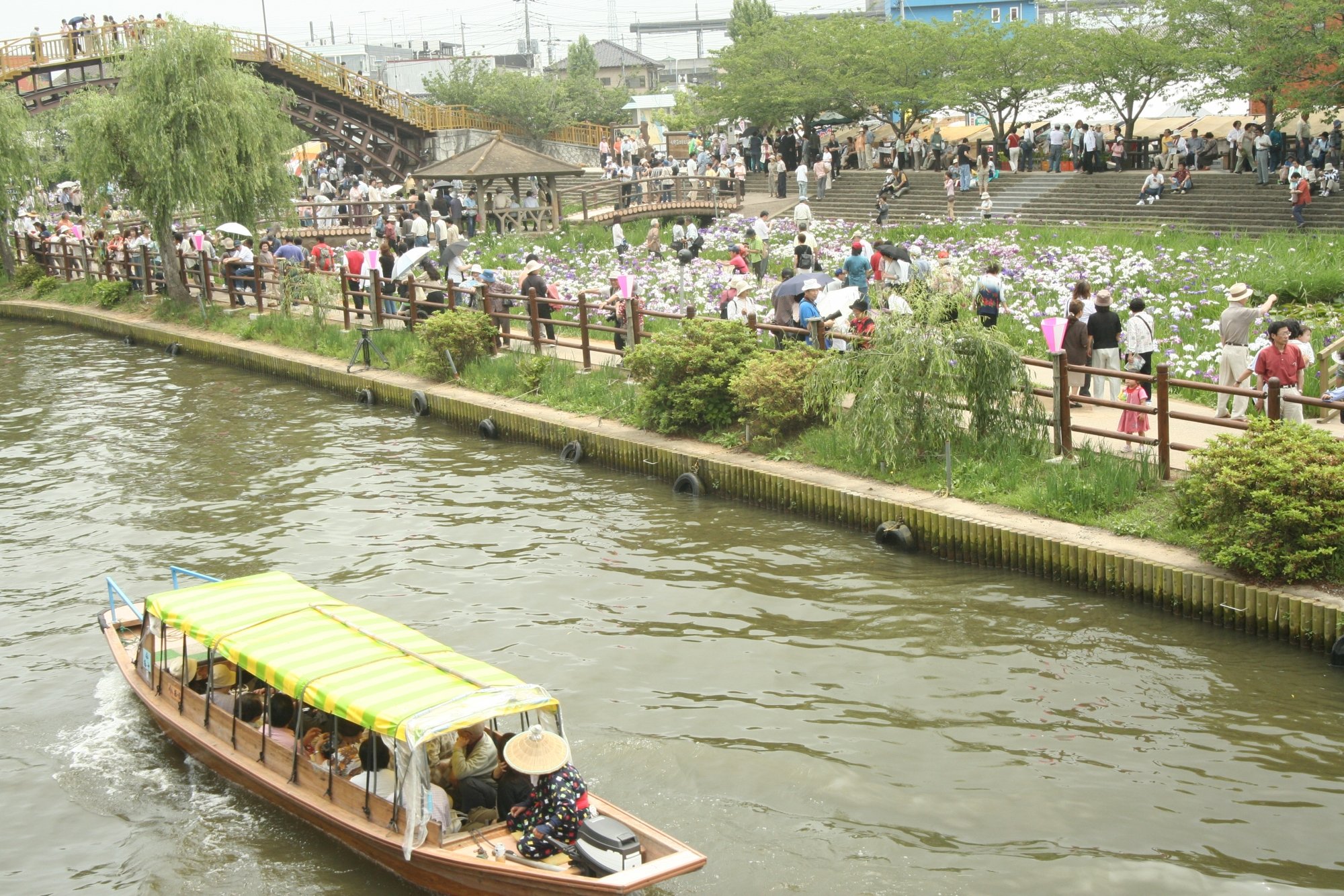 🌸 스이고 이타코 창포원(스이고 이타코 아야메엔) 이미지 8